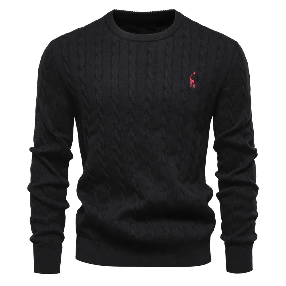 Rogier | Elegant Men's Jumper