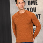 Alexander | Elegant Men's Jumper