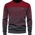 Raymond | Men's Elegant Jumper